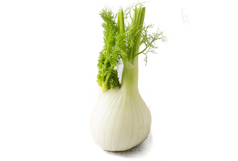 fresh-organic-fennel-on-wooden-white-table_1212-931